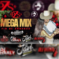 Mega Mix Navidad & Fin De Año|By Dj´s Puro Zacatecas Sax