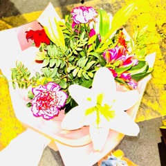 que seas tu FREESTYLE