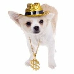 래퍼들이 부자라면 랩을 했을까? (w. NEIL, 추윤제, $insa)