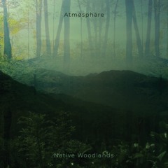 Atmøsphäre - Native Woodlands [AR008] preview