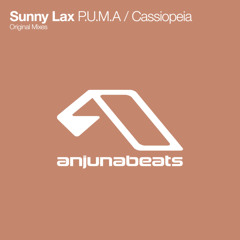 P.U.M.A. (Extended Mix)