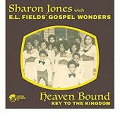 Sharon Jones - Heaven Bound - Leygo Shake And Bake Refix