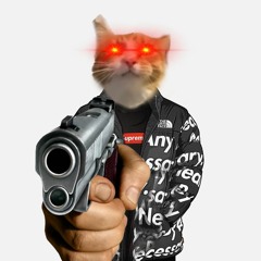 AC Season 2 Episode Ahhh I Forgot I think it was like 12 or like uhhhh 11 I think. [Kat Drip]