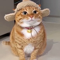 Swuing Tung & Bijhas- amor .m4a