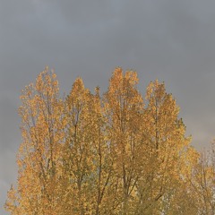 Lit âme - Alancholic