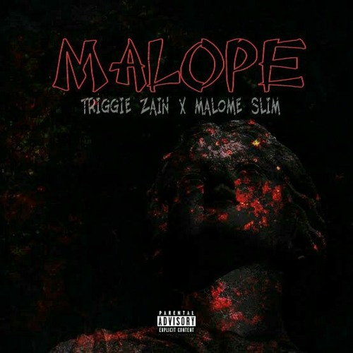 Malope (feat. MalomeSLIM)