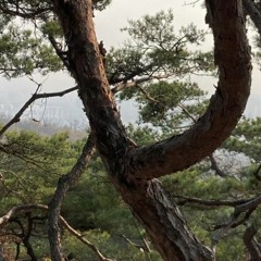 pokerface (feat.$ice)(prod.siwoo)