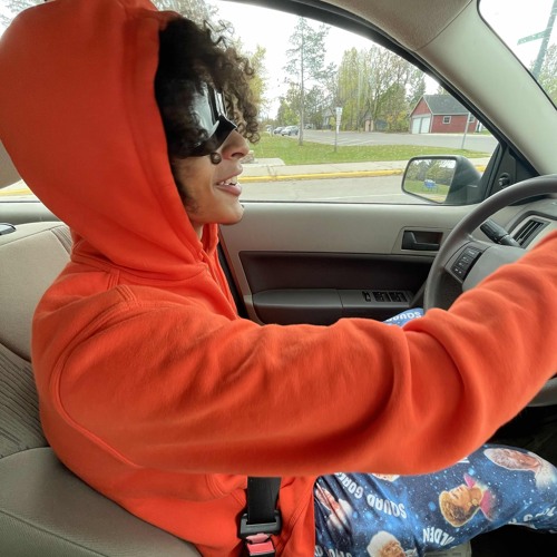 cinderella - log.wav