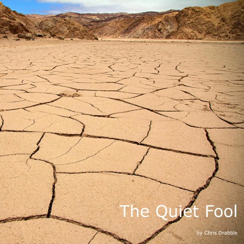 The Quiet Fool