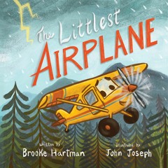 PDF✔read❤online The Littlest Airplane