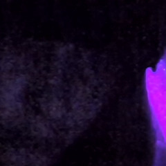 FREDDLES(prod.prodbymoxxie)