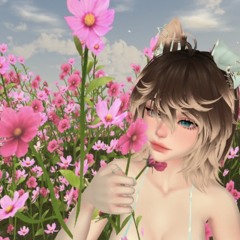 Don't Wake Me Up SulkyThread Remix