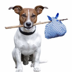 Dr Phil  (prod. frostedaway)