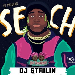 Sech × Dj Stailin - Pa Que Sude ( Remix )