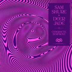 Sam Shure, Deer Jade - Cybernetic Symphony (w/ Bora Uzer Remix)