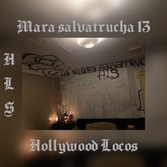 Somos Tu pesadilla Hollywood Locos  MS13