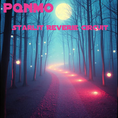 Starlit Reverie Circuit