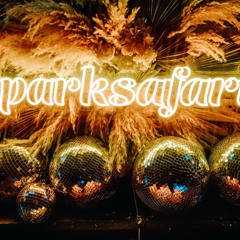 parksafari @ Renegade Wedding 2024