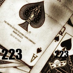 223 ace_savy_x