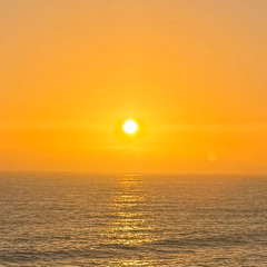 Friday Dance Dose | July 20 2025 | Summer Solstice + 4 Year Anniversary Celebration