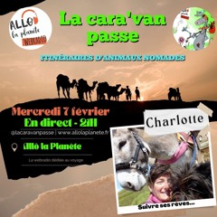 De journaliste à ânière : Le périple insolite de Charlotte avec Corrigan