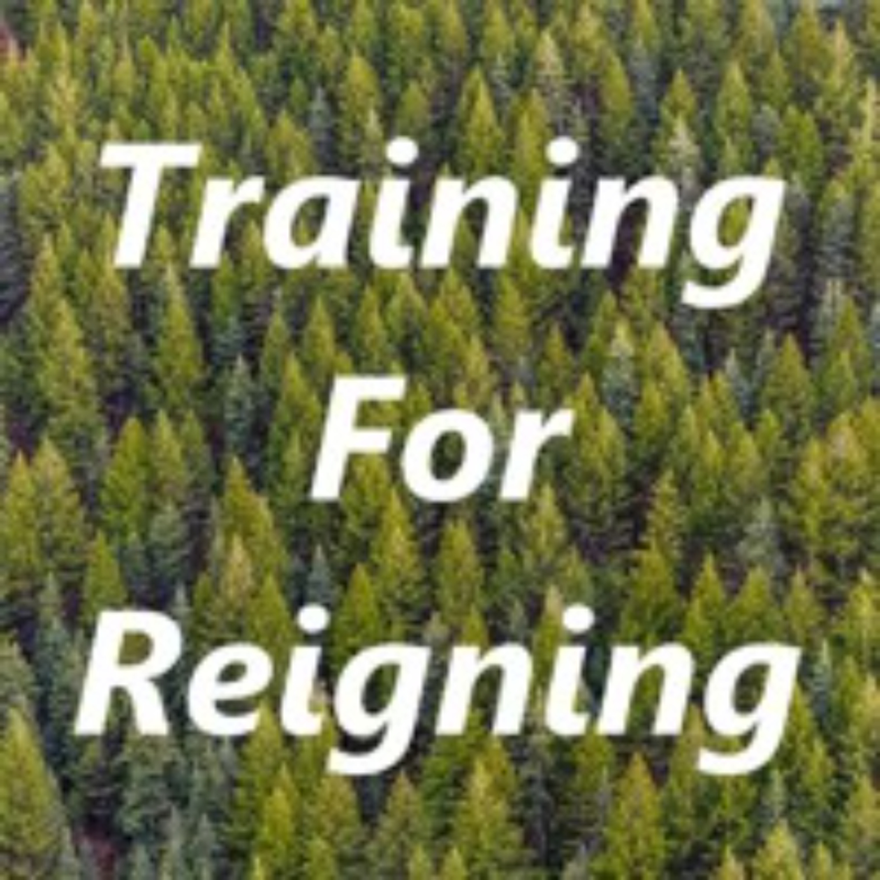 The way to Zion - Part 1 - Training For Reigning episode artwork