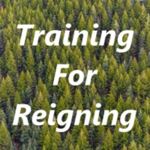 The way to Zion - Part 1 - Training For Reigning