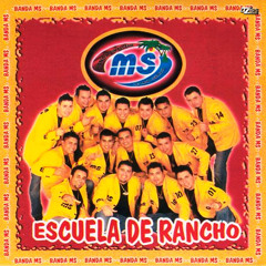 No se Ha Dado Cuenta