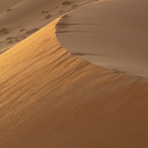 The sounds of the Arabian desert