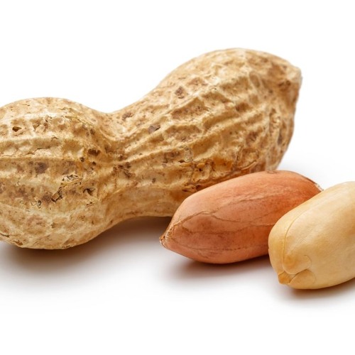 Deez Nuts (Got Eem Dub)