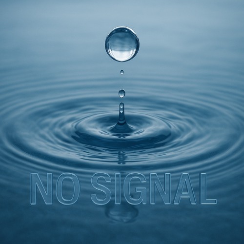 NO SIGNAL ( children’s choir )