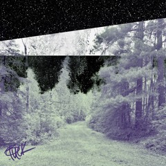 Reiner’s Harp (Prologue)