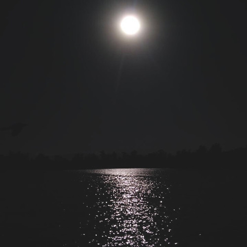 غمضت عيني - Si
