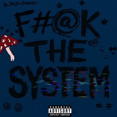 F#@K THE SYSTEM