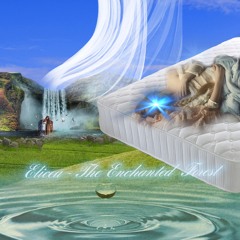 the enchanted forest slowed