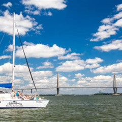 Review Special Price Private Luxury Sailing Charters Byob & Dolphins