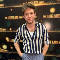 Small Talk - Niall Horan (slowed down)