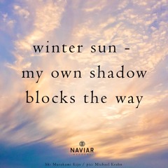 Winter Sun (naviarhaiku524)