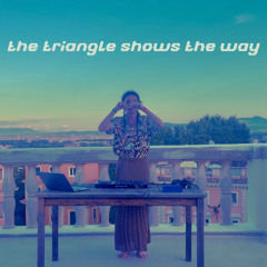 the triangle shows the way