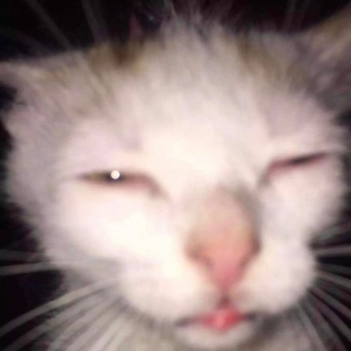 nightcore