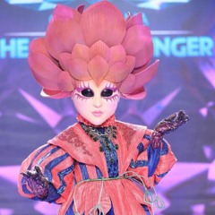 The mask singer
