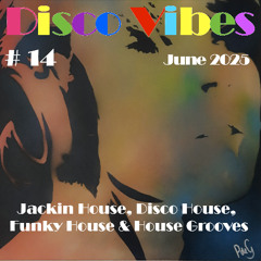Disco Vibes #14 Groove/Jackin House edition [4Peace, Upercent, Riva Starr, Adam Port, Fer BR & more]