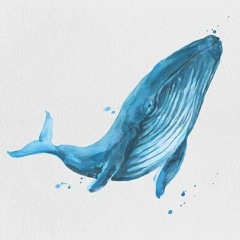 Deep Ocean Shaman Drumming • The Whale Shaman • Mystical Cetacean Songs • Ambient Relaxation