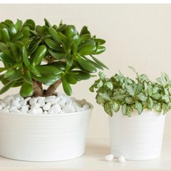 How I feel about you21. band .wav