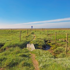 A night at the wadden sea (contains crossfades)