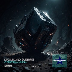 A New Beginning (Original Mix)