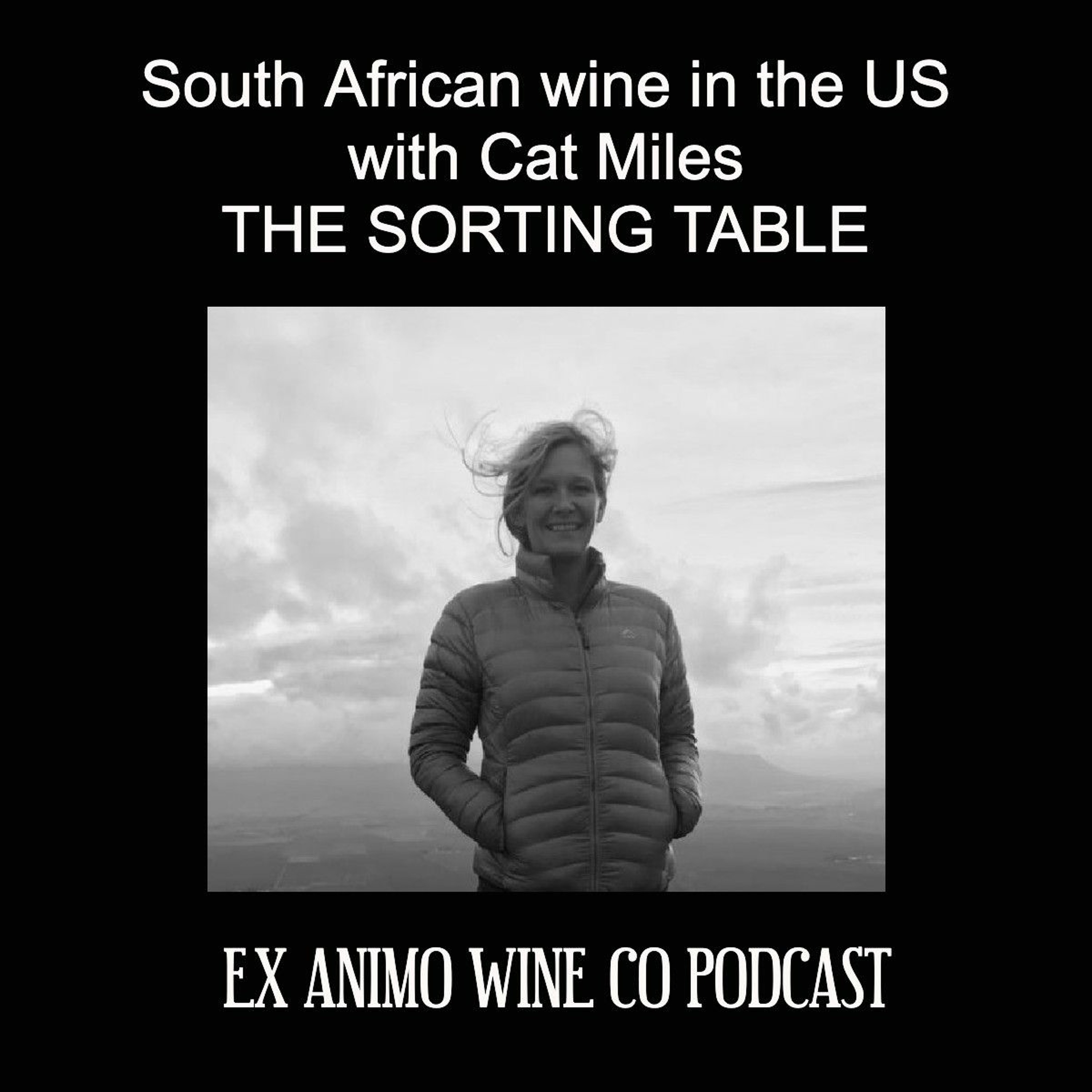 South African Wine in the US with Cat Miles, The Sorting Table