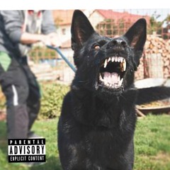 Show My Teeth (prod. Fletchy2Fat)