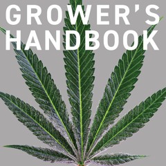 epub Cannabis Grower's Handbook: The Complete Guide to Marijuana and Hemp Cultivation