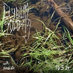 elysium solidity #08 ~ chirp - sensi.ble - 20.03.2024